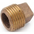 Anderson Metals Plug Cored Brass 1 In 738109-16